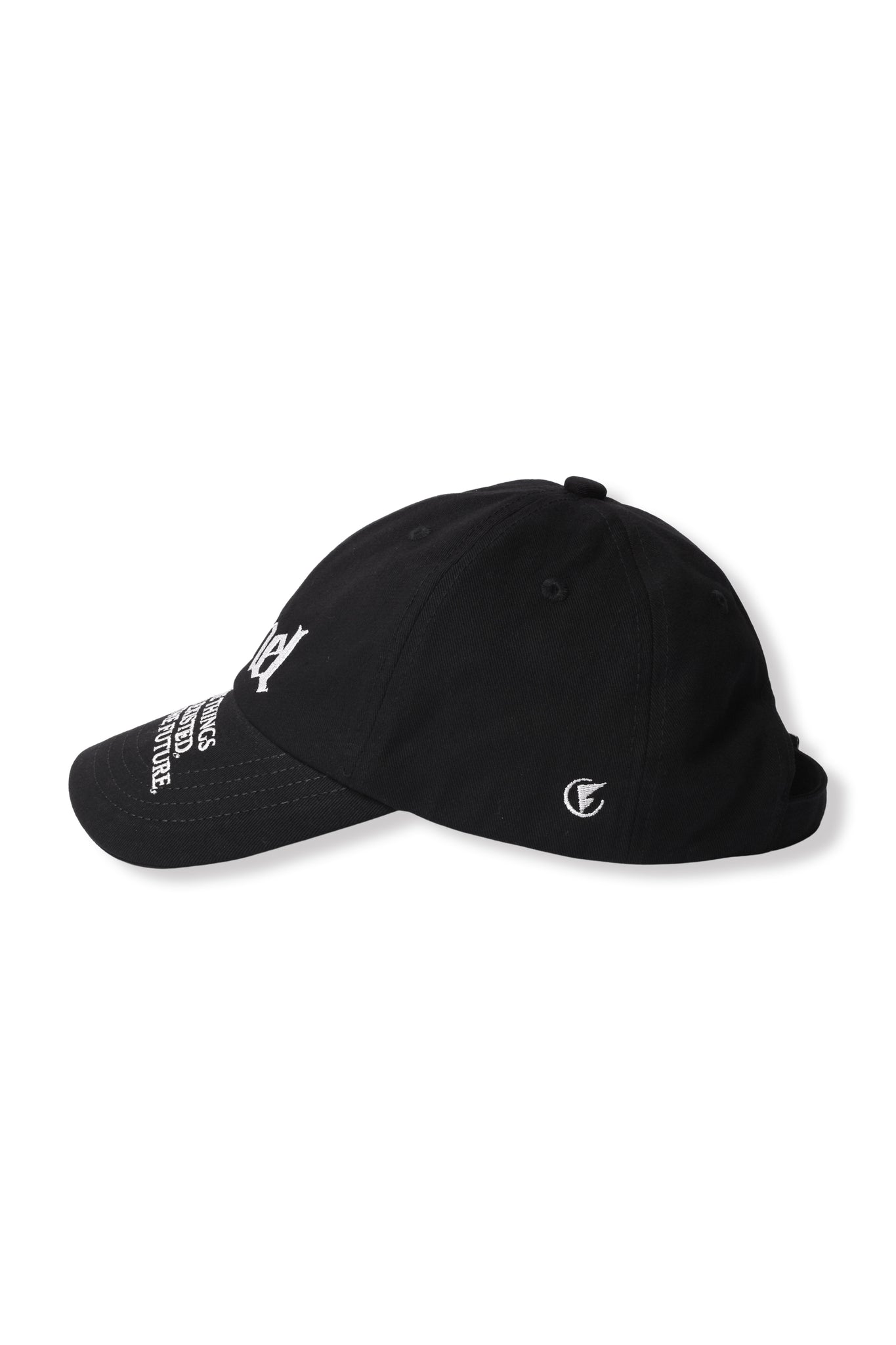 FENNEL LOGO SLOGAN CAP